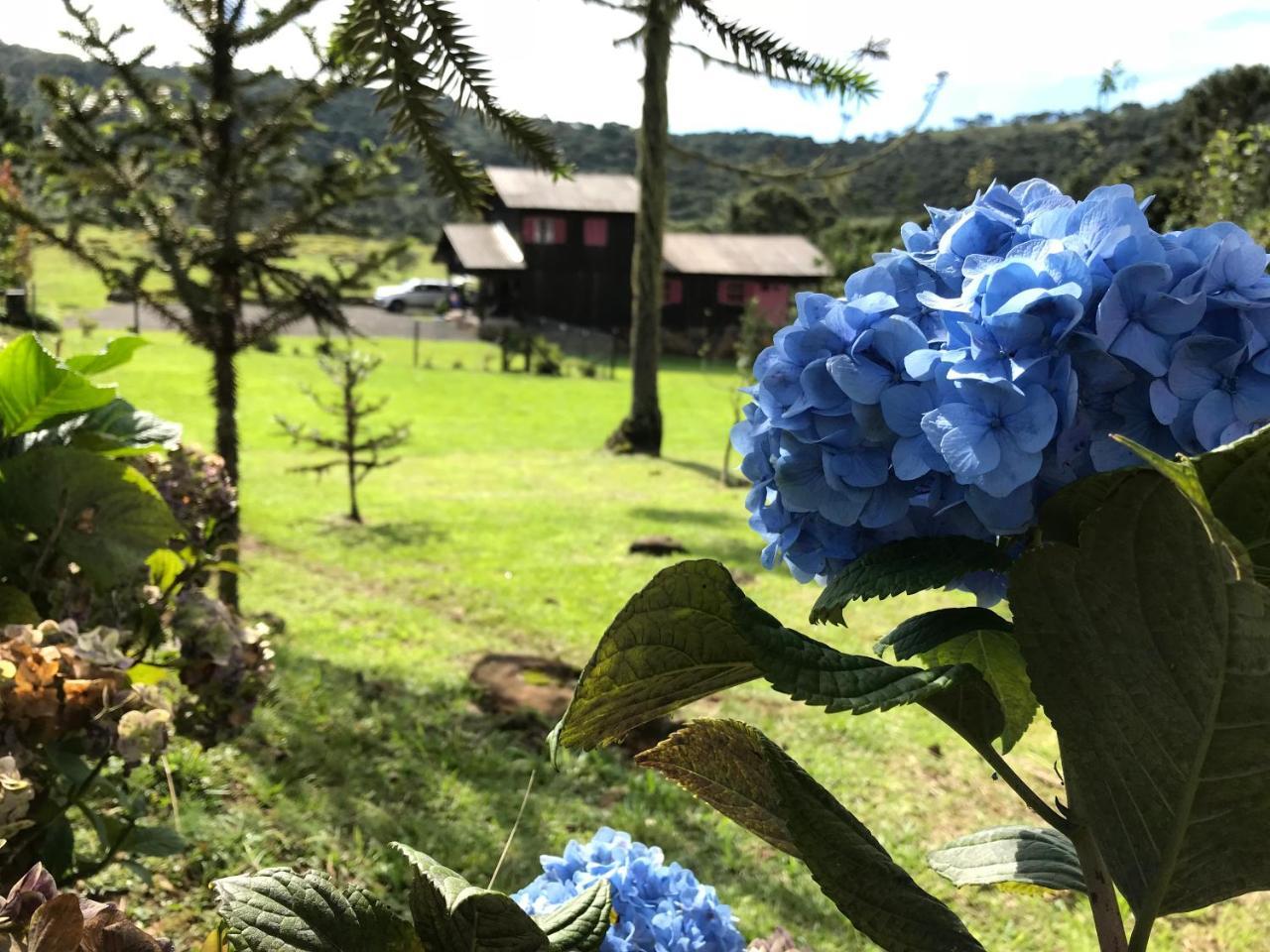 Estalagem Carucacas Villa Bom Jardim da Serra Luaran gambar