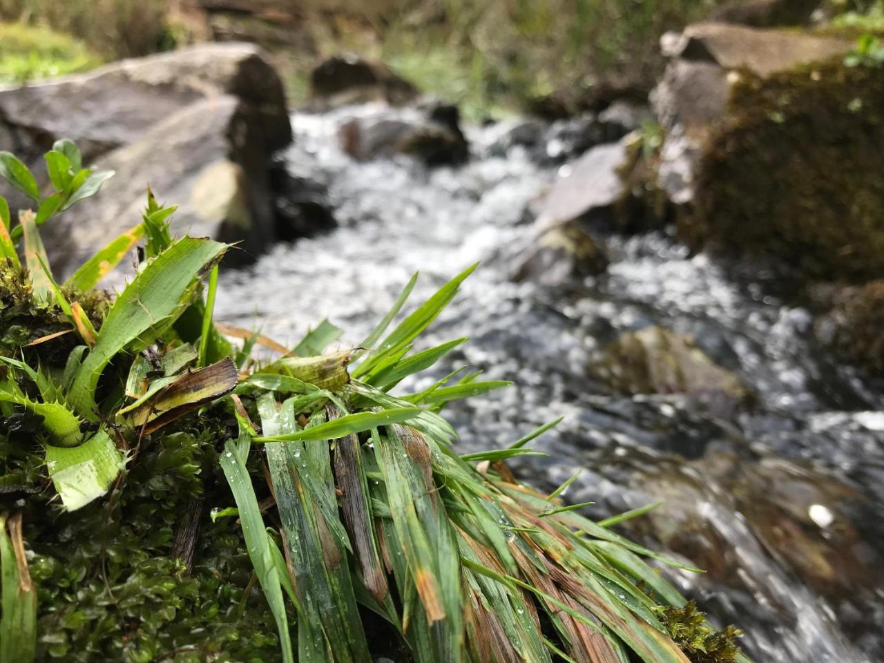 Estalagem Carucacas Villa Bom Jardim da Serra Luaran gambar