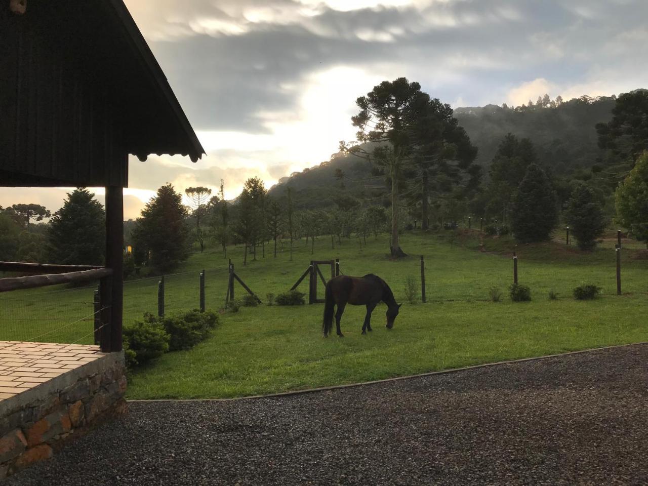 Estalagem Carucacas Villa Bom Jardim da Serra Luaran gambar